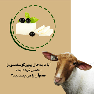 تقلب شیر گاو در پنیرهاي گوسفندي