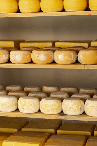 مشکلات نگهداری پنیر با راه حل تضمینی